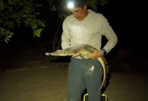 Hábitat natural de las nuevas especies en Cozumel.