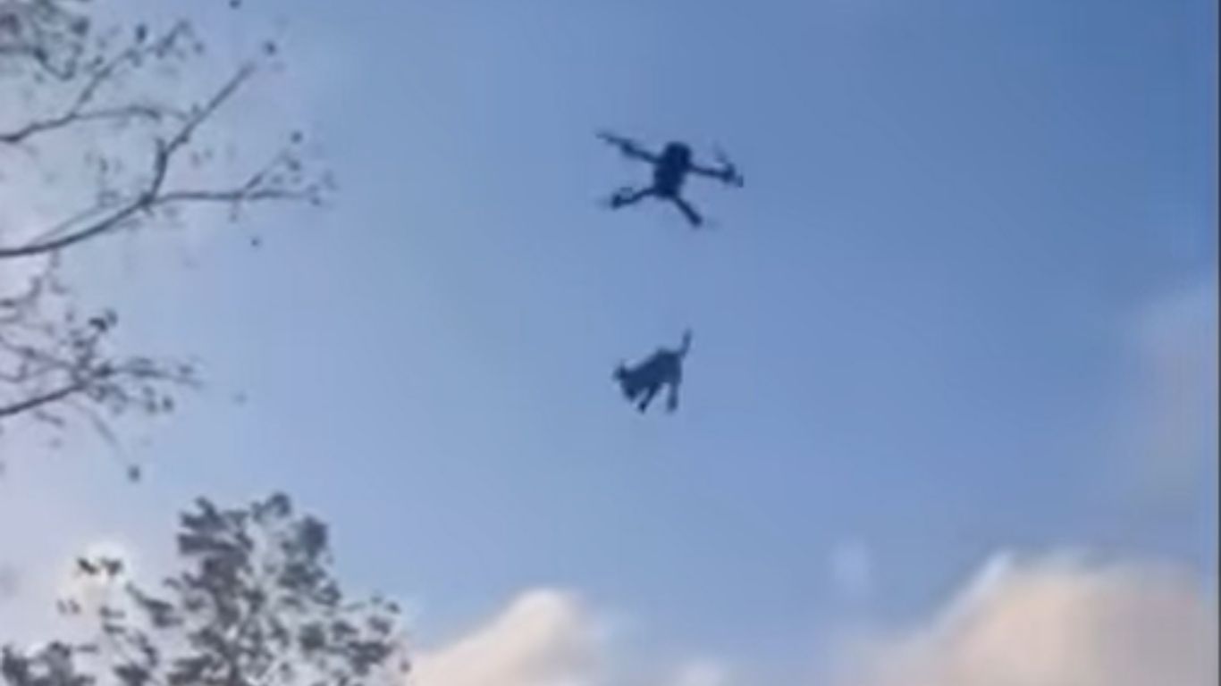 Usuarios de redes sociales exigen justicia por el acto cruel.