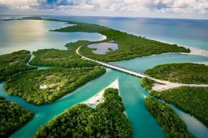 Activistas protegiendo el ecosistema en Sian Ka’an.