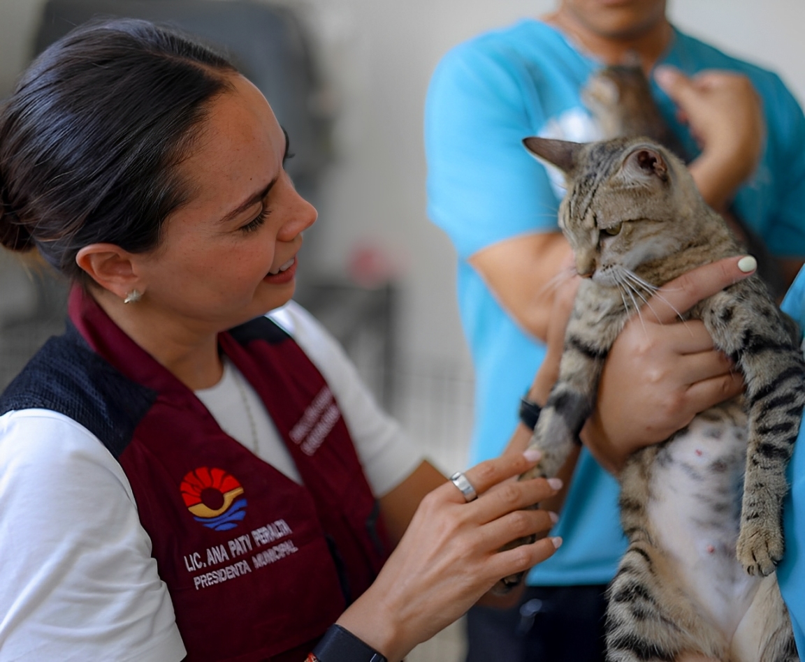 Más de 600 denuncias han sido atendidas en Cancún este año.