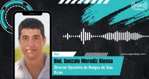 La creciente cifra de atropellamientos de fauna silvestre en Quintana Roo demanda atención urgente, según el biólogo Gonzalo Merediz Alonso.