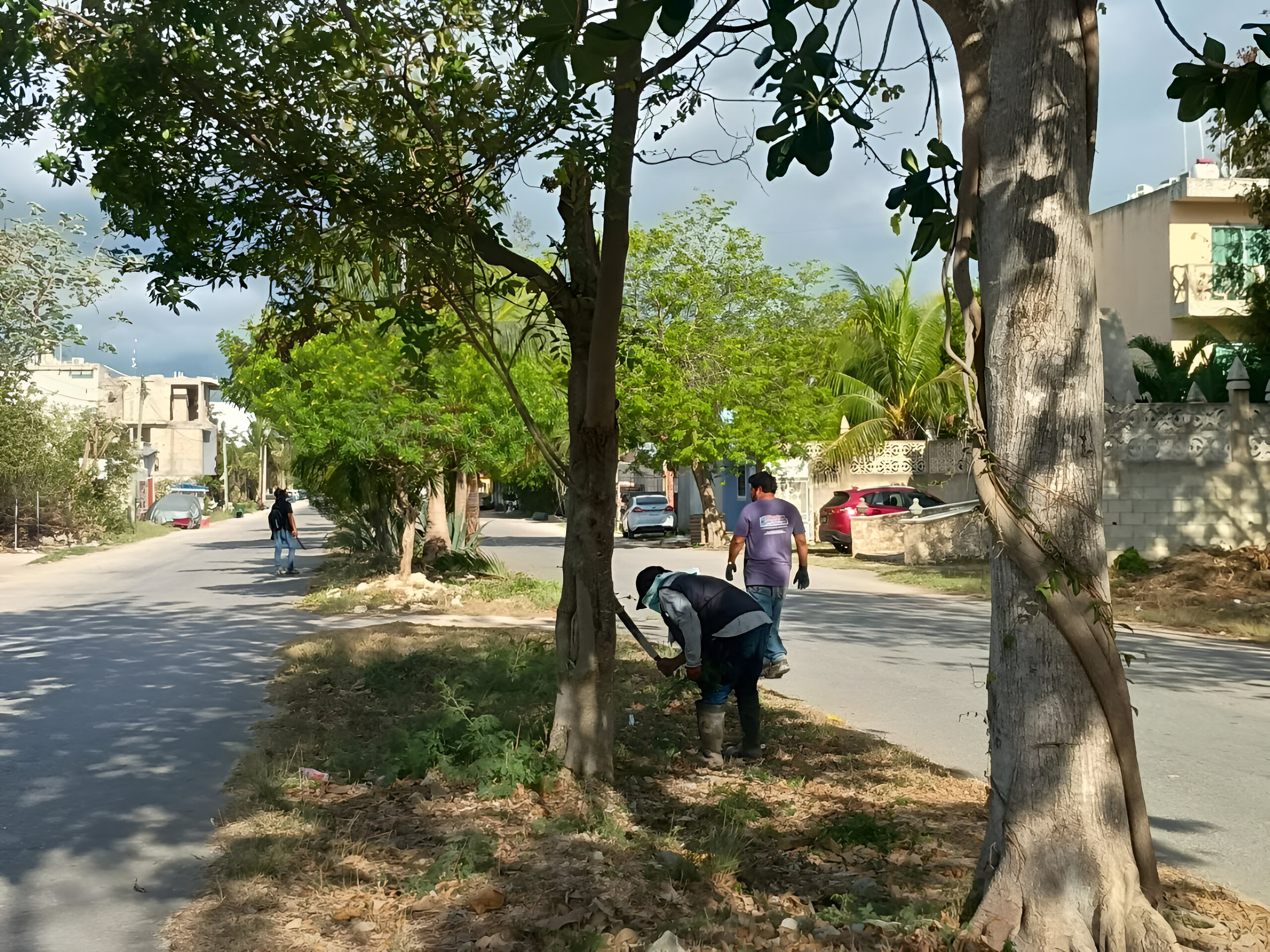 Ciudadanos participan en la recolección de basura.