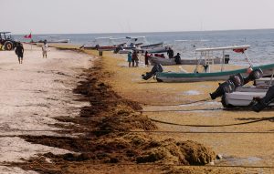 José Gómez Burgos habla sobre la situación en Playa del Carmen.