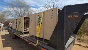 Escenas emotivas durante la evacuación hacia Mazatlán.