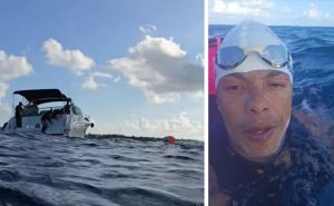 Encuentro con tortugas marinas en el trayecto.