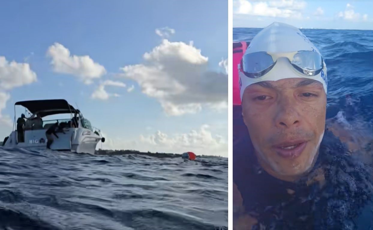 Encuentro con tortugas marinas en el trayecto.