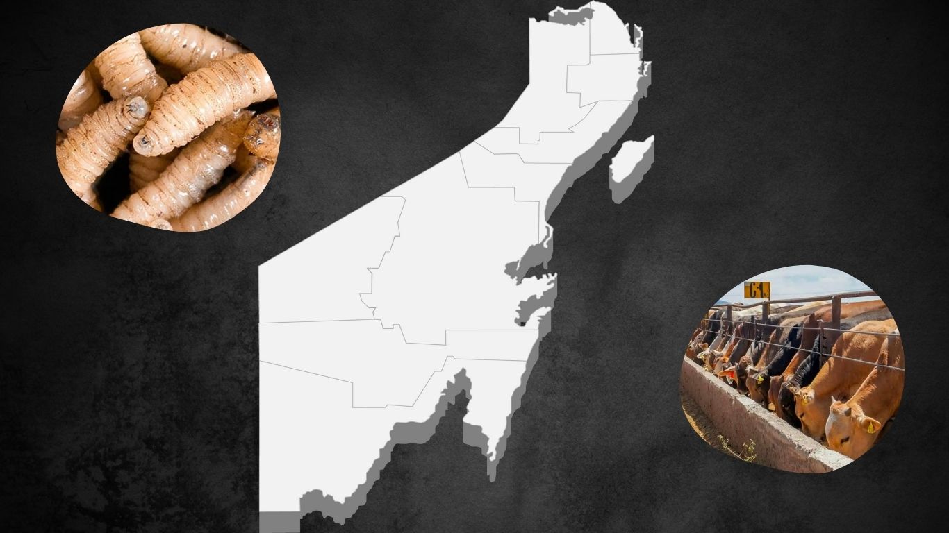 Reunión interinstitucional para abordar el gusano barrenador.