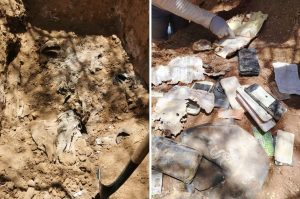 Madres Buscadoras de Sonora en la búsqueda de sus seres queridos.