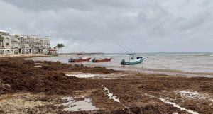 La falta de limpieza genera riesgos sanitarios.