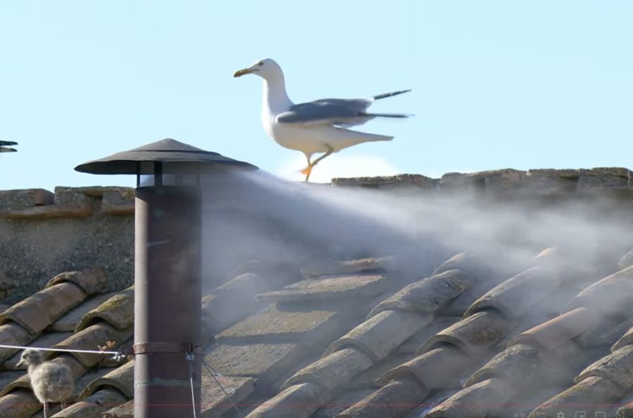Habemus Papam, tras elección de nuevo Sumo Pontífice