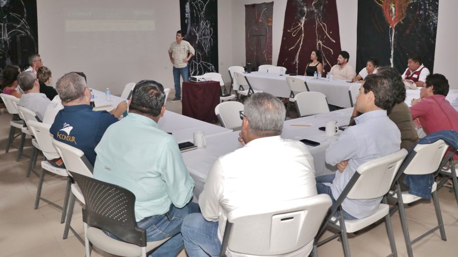 Actualización del PMTS 2050 en Cozumel.