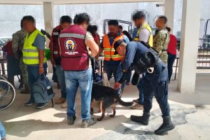 La Unidad Canina K9 refuerza la seguridad en Quintana Roo con inspecciones.
