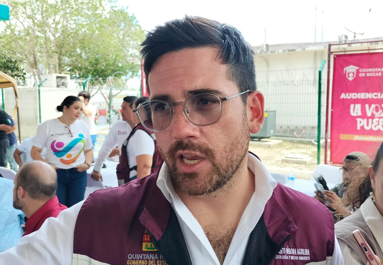 El sargazo se acumula en las playas de Mahahual.