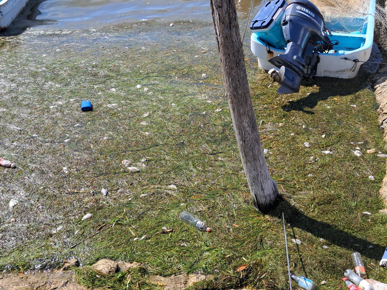 José del Carmen Sabatini, pescador de Holbox.
