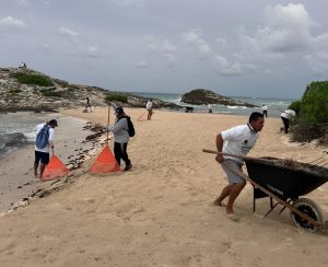 Esfuerzo conjunto para mitigar el impacto del sargazo en el ecosistema.