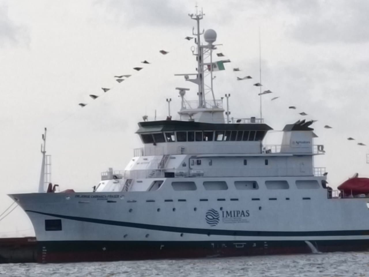 22 científicos en la investigación de sargazo en el Caribe.