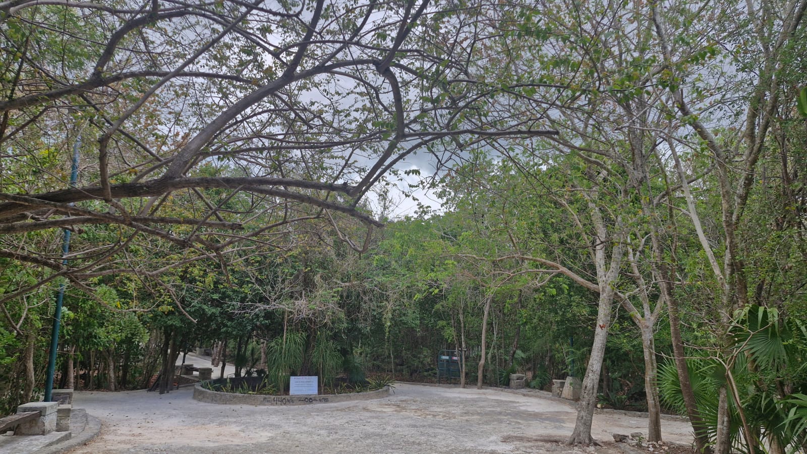 Ana Paty Peralta, presidenta municipal, asegura que no habrá deforestación en el Ombligo Verde.