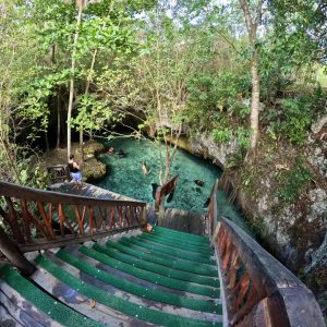 Auge turístico en cenotes por recale de sargazo.