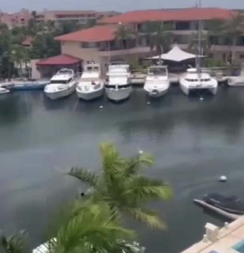 Alerta por derrame de diésel amenaza vida marina local.