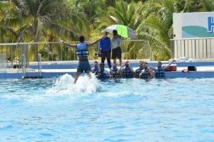 Ambientalistas celebran la aprobación de la ley que protege a los mamíferos marinos.