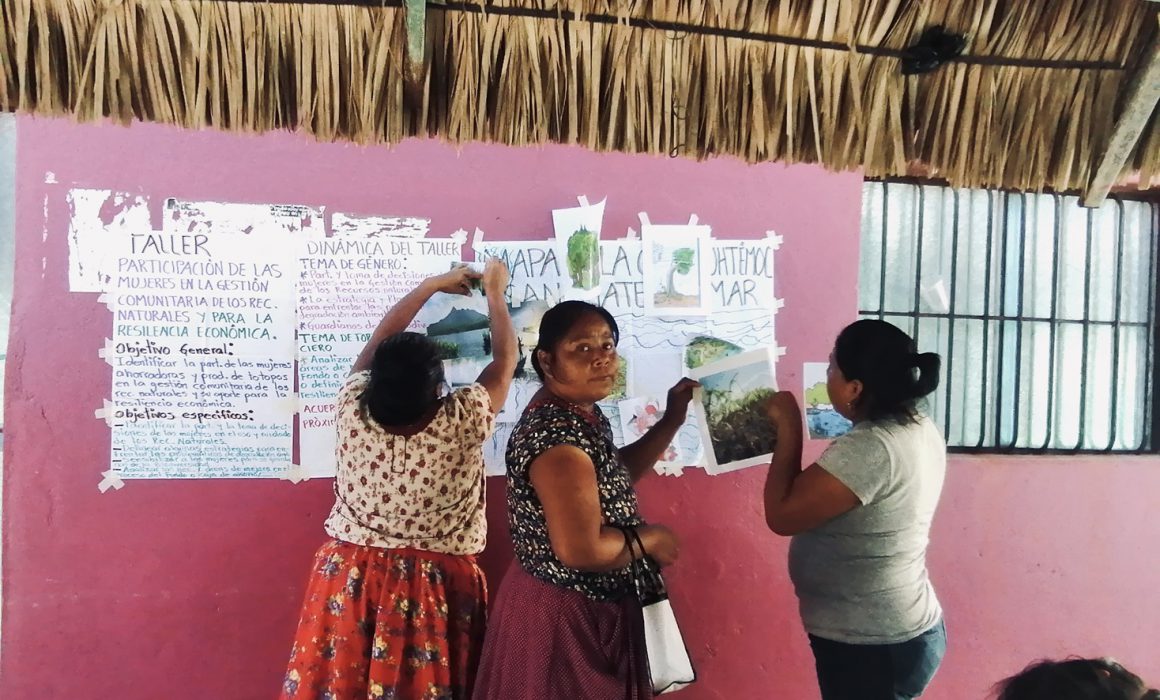 Liderazgo femenino en proyectos ambientales.