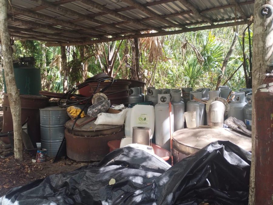Operativo interinstitucional en Quintana Roo para desmantelar un laboratorio de drogas.