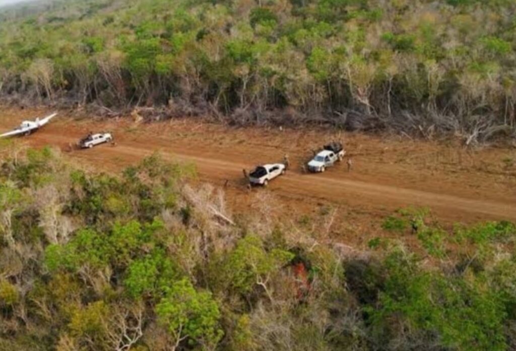 Patrullajes aéreos contra narcopistas en el sur.