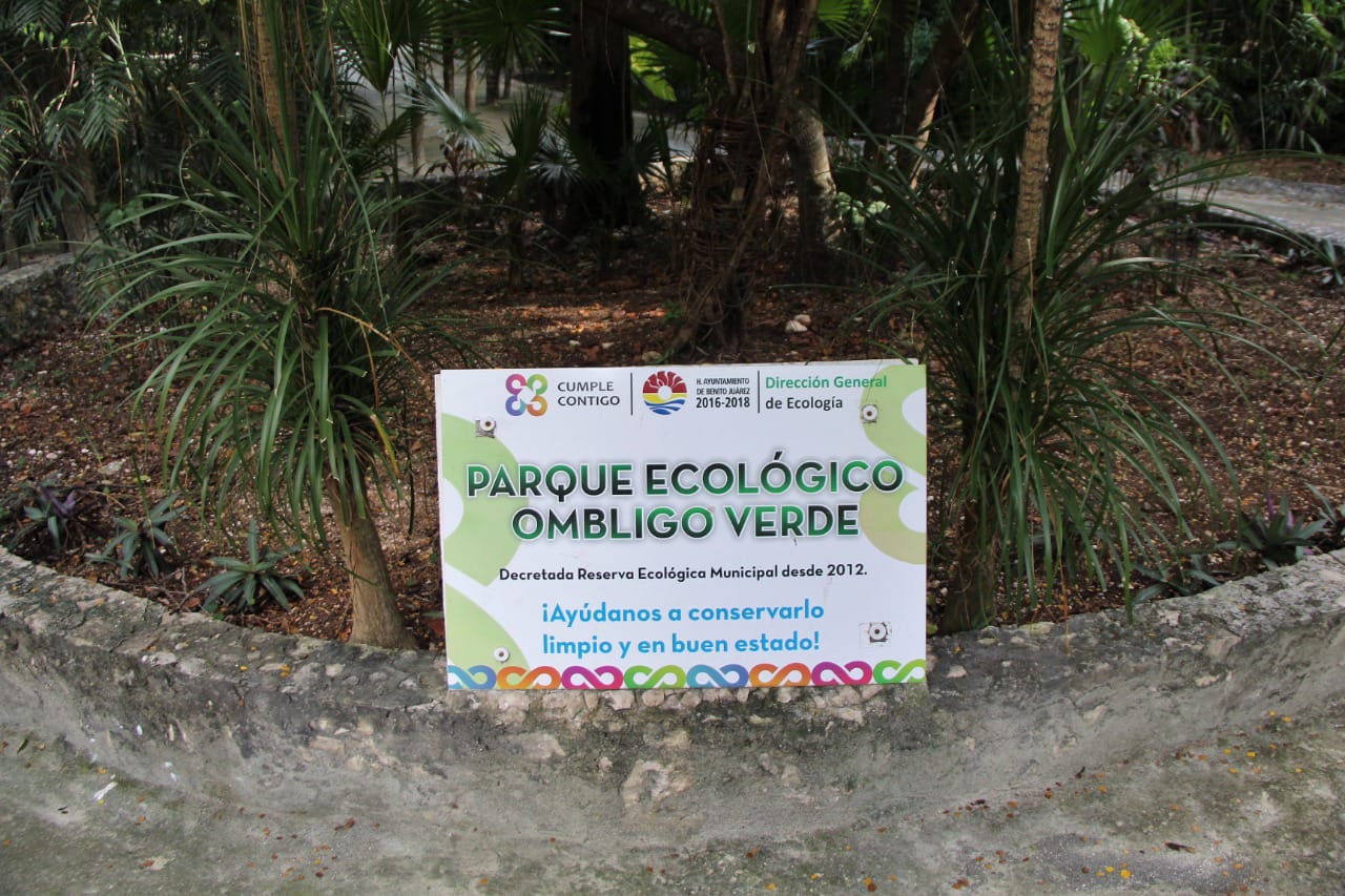Katerine Ender y vecinos protestan contra la tala de árboles en el Ombligo Verde.