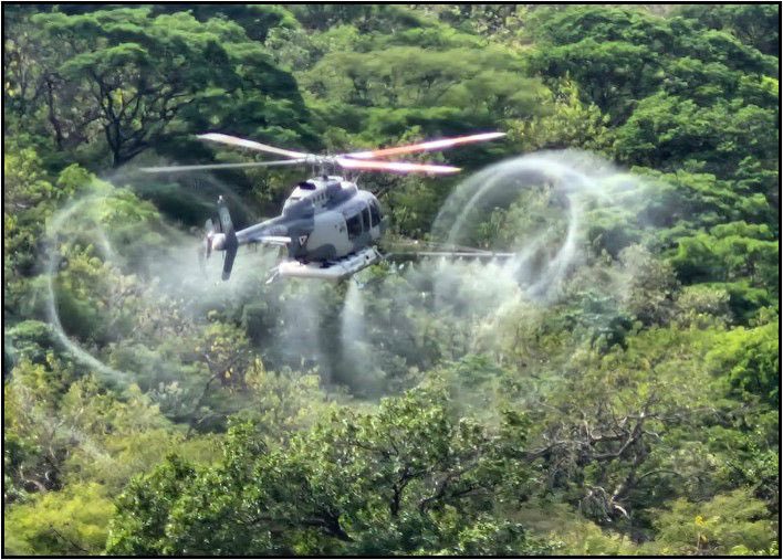 "Ejército destruye 110 plantíos de drogas en cuatro estados."