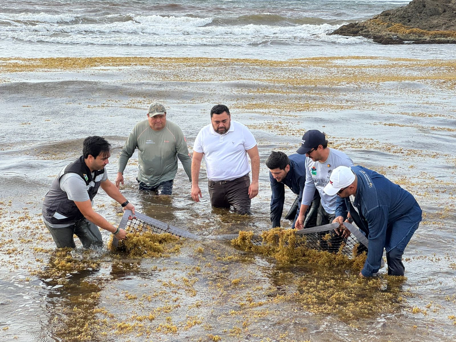 Limpieza de sargazo en playas de Quintana Roo.