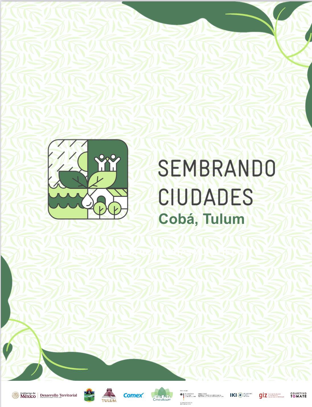 Convocatoria para artistas muralistas en Tulum y Cobá.