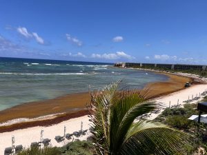 En respuesta al creciente recale de sargazo en las costas de Quintana Roo, los hoteles de la región han intensificado sus esfuerzos para mantener las playas en óptimas condiciones, trabajando en coordinación con autoridades de los tres niveles de gobierno.