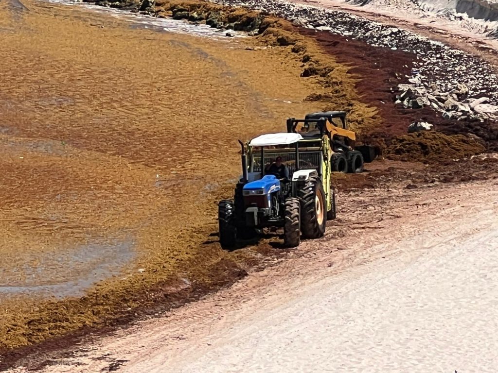 Los hoteles están invirtiendo significativamente en personal, equipos y barreras para el manejo del sargazo, que, aunque es un fenómeno natural, afecta la imagen de los destinos turísticos.