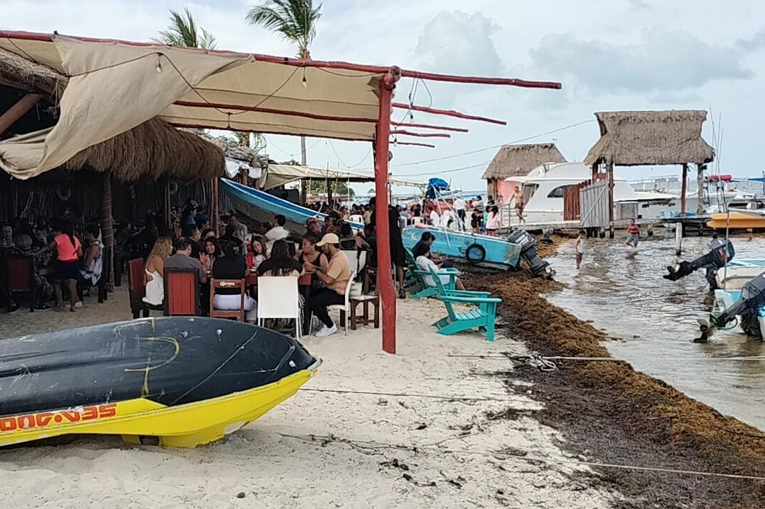 Impacto del sargazo en las ventas por sargazo de los negocios.