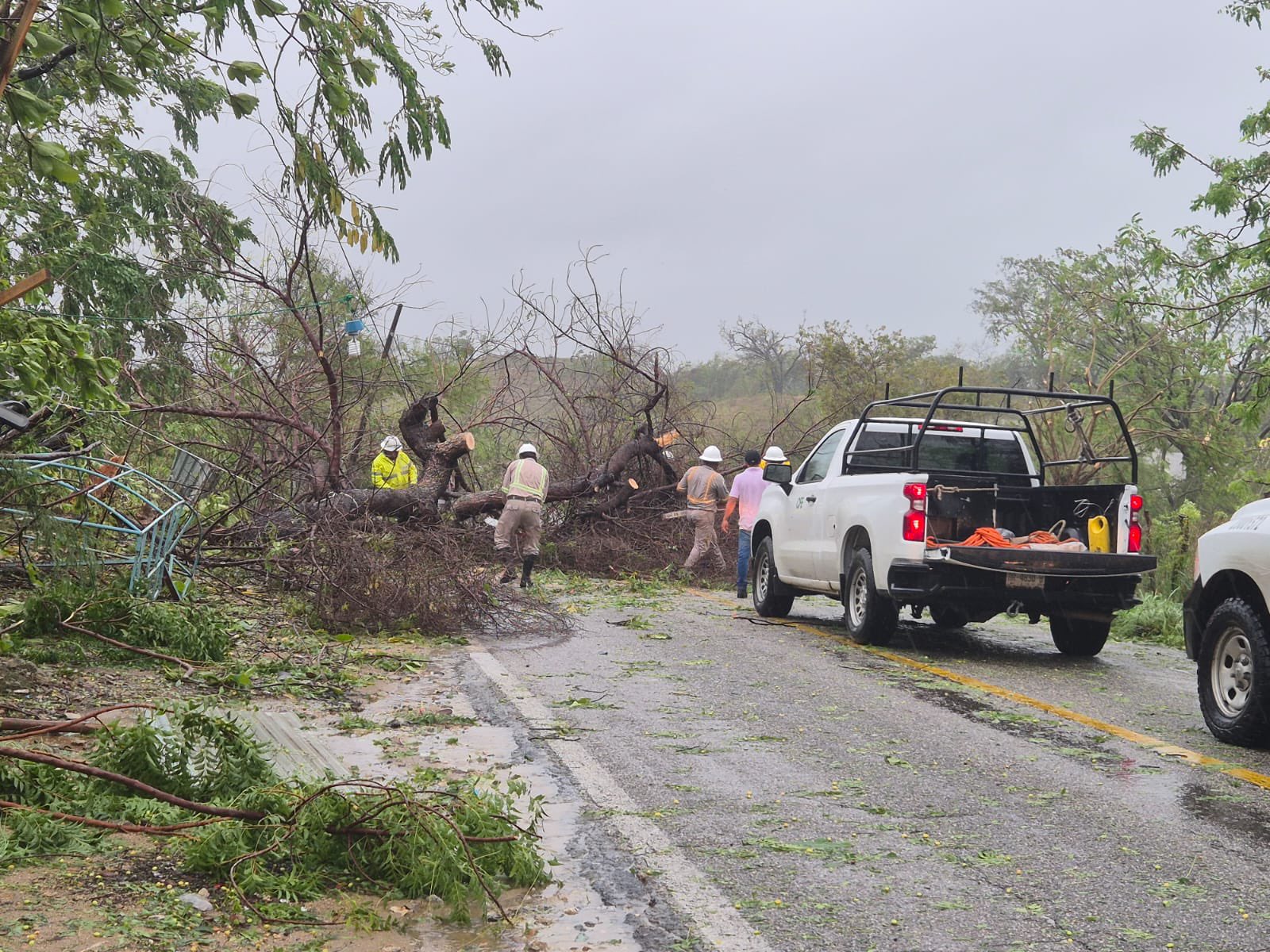 "CFE restablece servicio eléctrico tras huracán Erick."