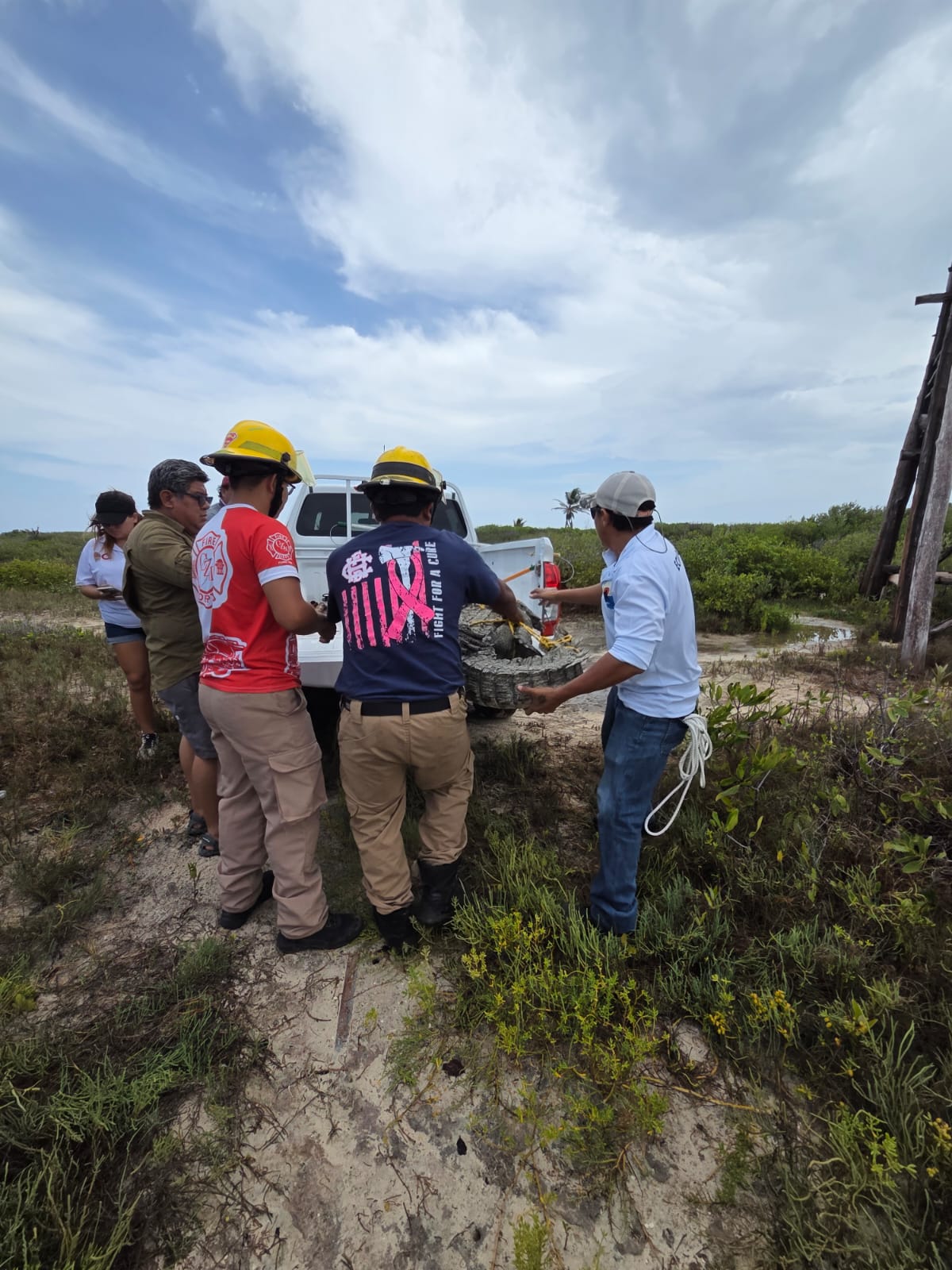 Un impresionante cocodrilo de casi 3 metros fue rescatado en Cozumel. La acción protege la fauna silvestre en Cozumel y su hábitat natural.