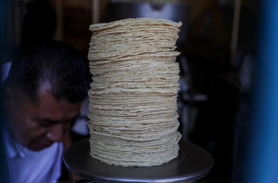 Tortillas frescas apiladas, símbolo del alimento básico en la mesa mexicana.