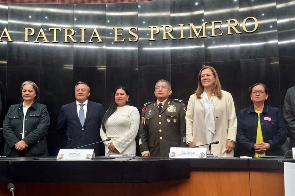 El General Reyes Ortega durante su intervención en el Senado.