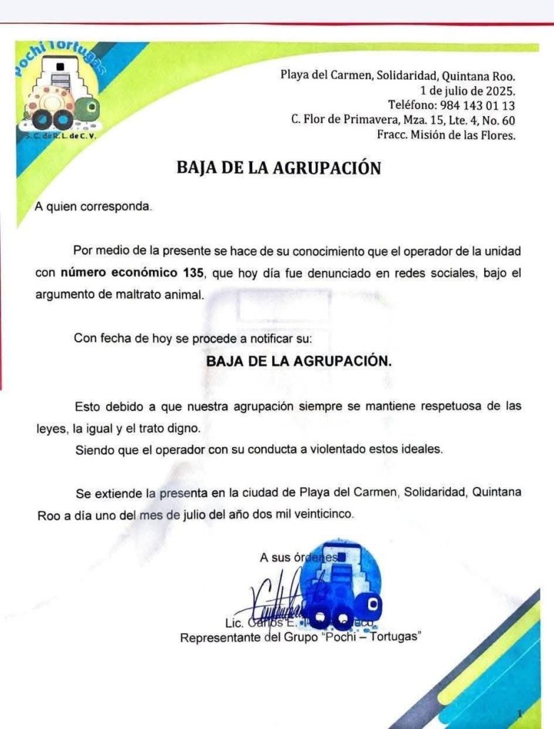 “Pochitortugas” aplicó cero tolerancia al darlo de baja, y su vehículo permanece decomisado.