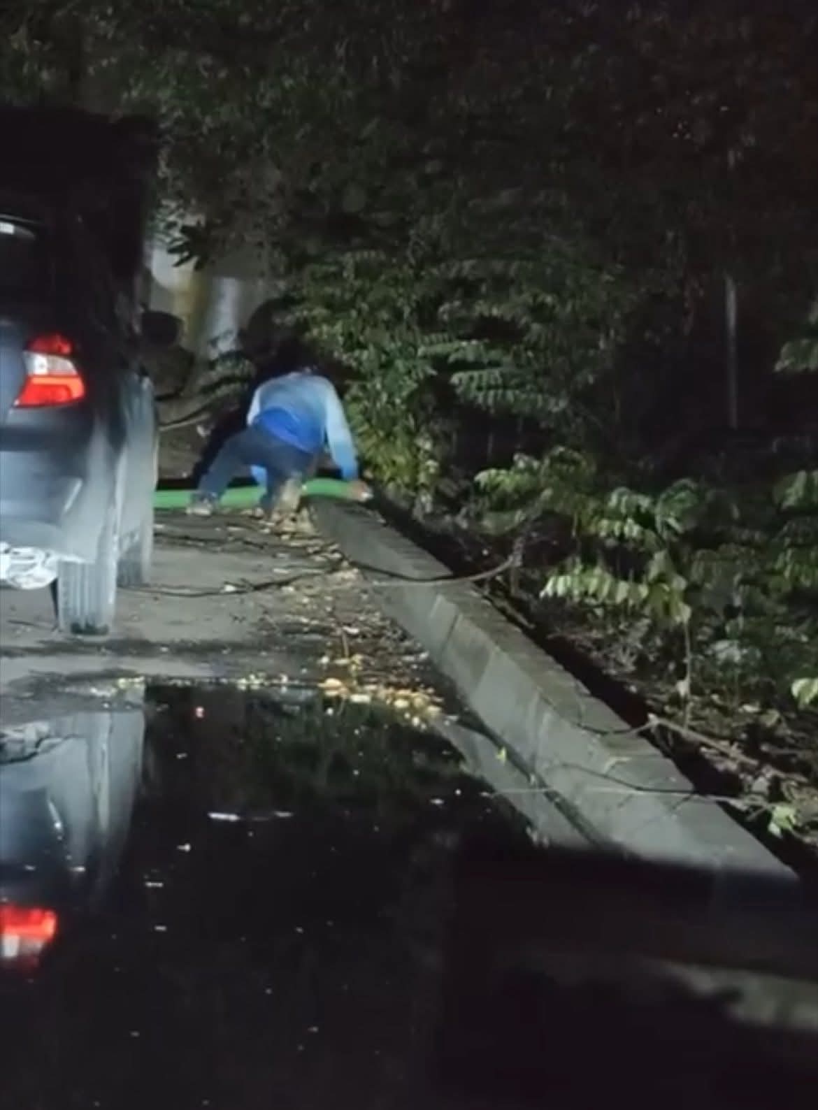 Clausuran empresa en Chetumal por verter aguas negras. La contaminación de la Bahía de Chetumal desata multa de 500 mil pesos.