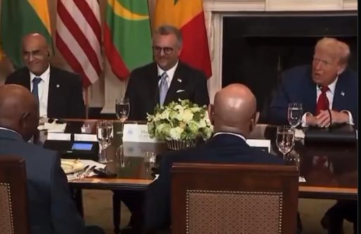 Donald Trump con líderes africanos, momento de la gaffe diplomática de Trump