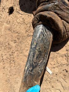Ropa y artículos hallados en el campamento por las Madres Buscadoras de Sonora.