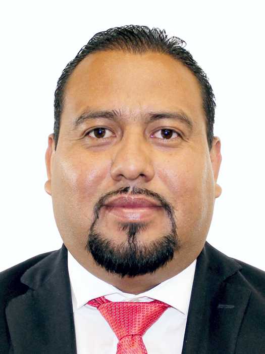 Diputado de Morena, Roberto Domínguez, es exhibido votando desde un avión. El incidente desata críticas y un debate legislativo en México sobre el uso de recursos.