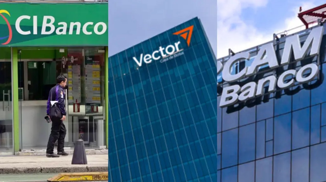 "Oficinas de Intercam, CIBanco y Vector Casa de Bolsa."
