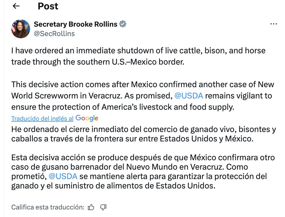 Ganado mexicano en la frontera.