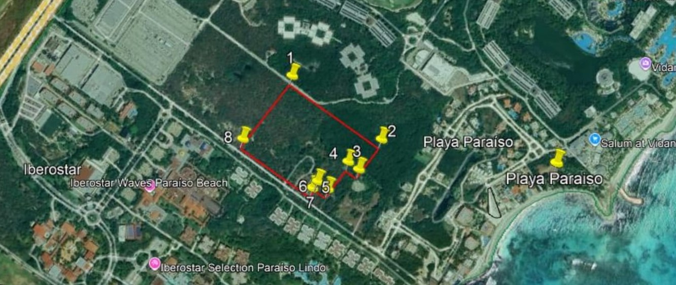 La Profepa ha sido acusada de cómplice omisión, pues durante casi dos meses no ha inspeccionado un predio en Playa Paraíso donde se tala manglar.