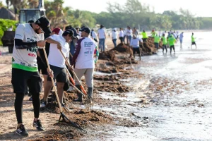La crisis turística en Tulum por el sargazo masivo y la temporada baja llevó a hoteleros a solicitar al gobierno federal la eliminación del cobro de ingreso a las playas gratuitas en Parque del Jaguar.