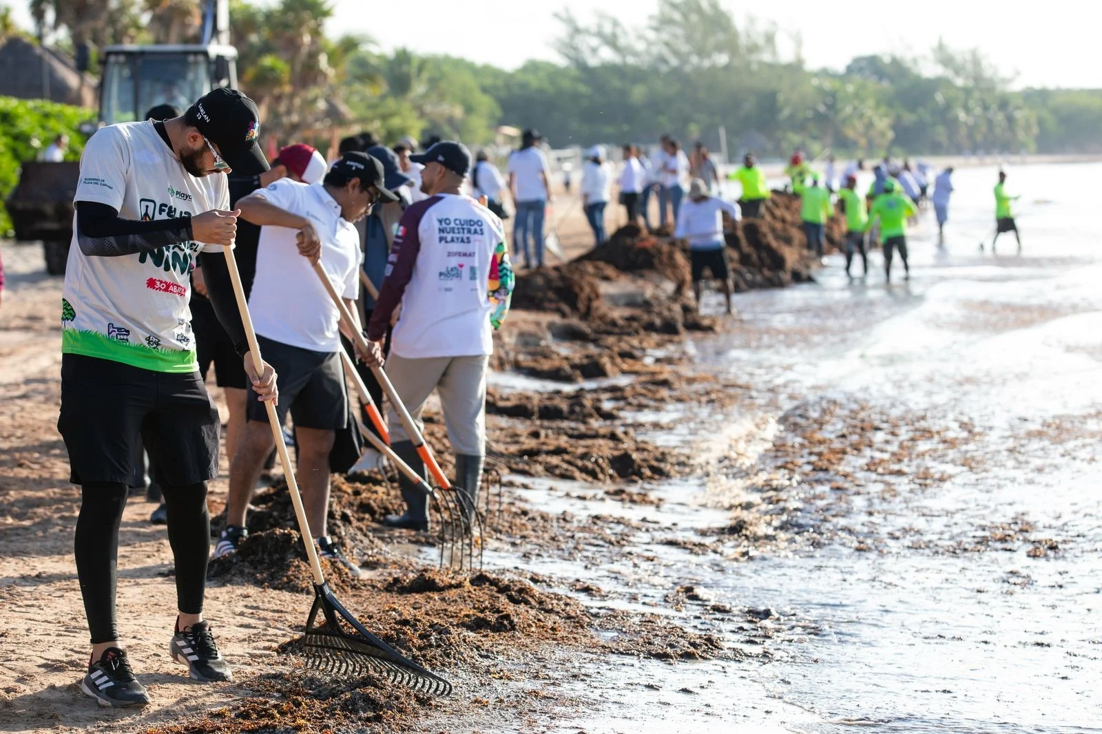 La crisis turística en Tulum por el sargazo masivo y la temporada baja llevó a hoteleros a solicitar al gobierno federal la eliminación del cobro de ingreso a las playas gratuitas en Parque del Jaguar.
