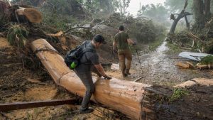 Equipo de rescate buscando víctimas tras las inundaciones en Texas.