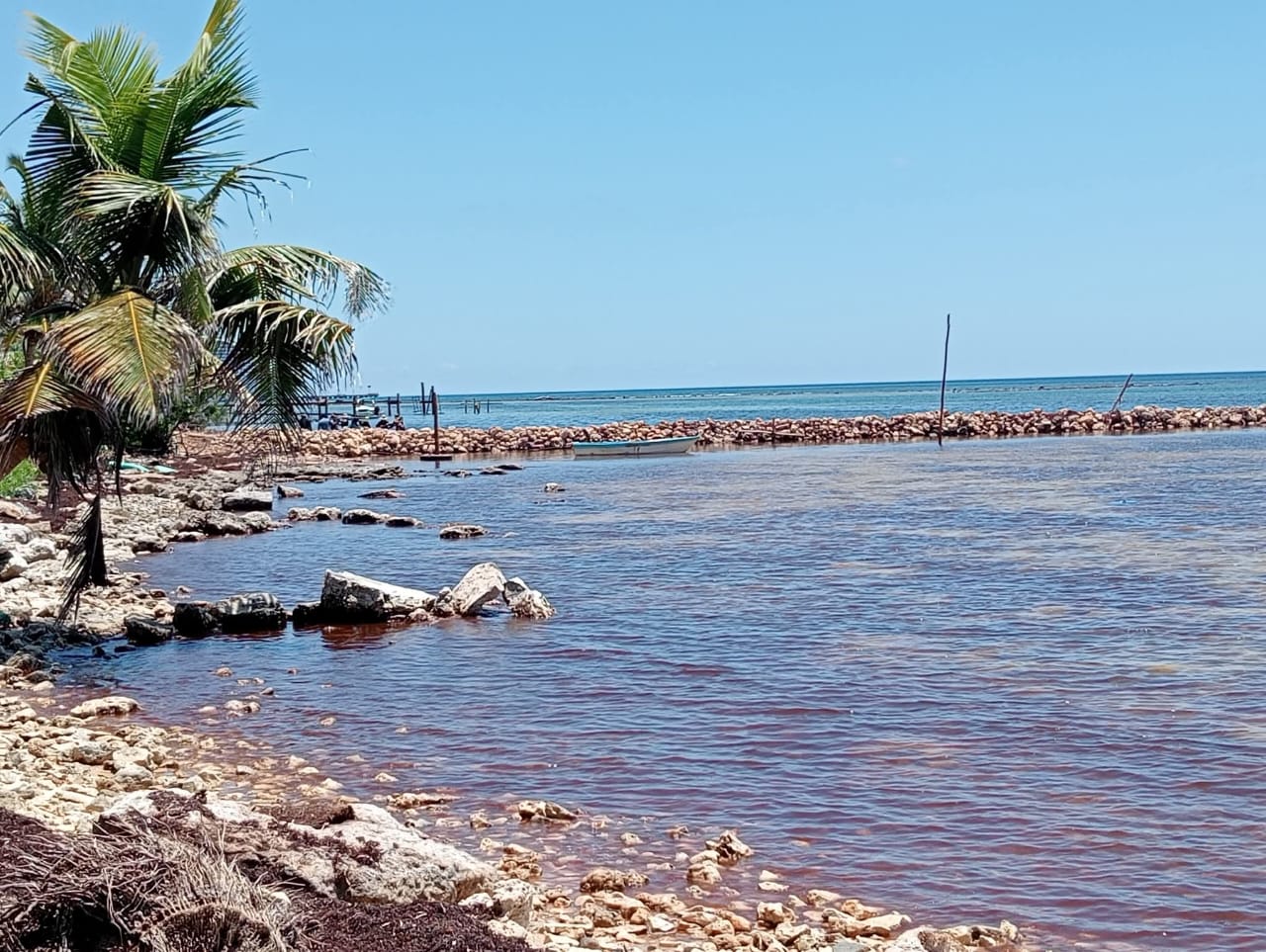 La construcción de un relleno de piedra amenaza la costa de Majahual.